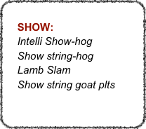 
    SHOW:
    Intelli Show-hog
    Show string-hog
    Lamb Slam
    Show string goat plts